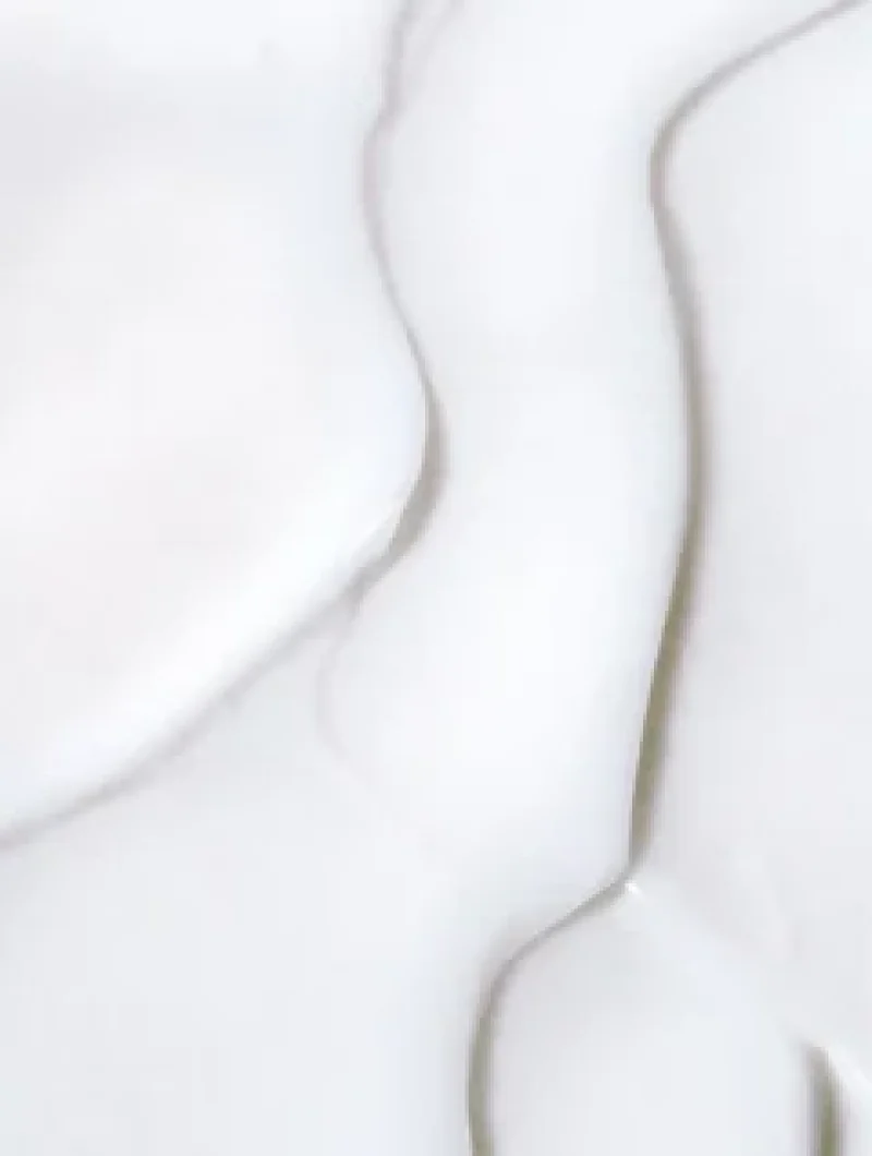 aW1hZ2U9L2dhbGxlcnktcGhvdG9zL2o2djZCNTFZQm9TeVF1eVRKZmhWMXEzRk15bHlaM2d2LmpwZyZ3aWR0aD0yNDA.webp